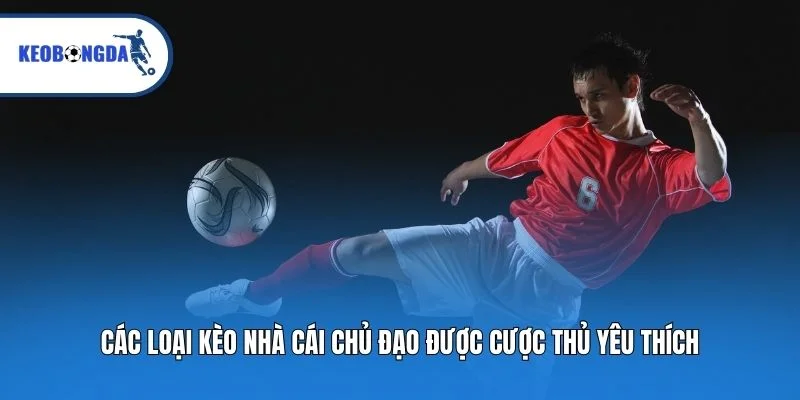 Các loại kèo nhà cái chủ đạo được cược thủ yêu thích