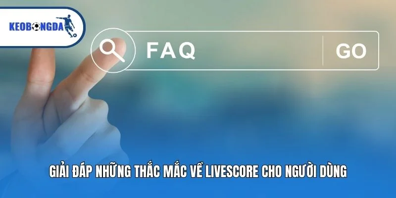 Giải đáp những thắc mắc về Livescore cho người dùng