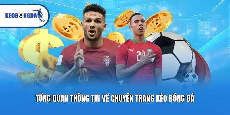 Tổng quan thông tin về chuyên trang Kèo bóng đá