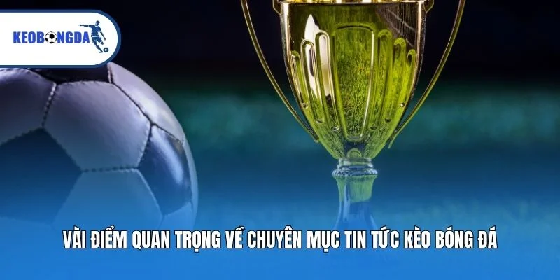 Vài điểm quan trọng về chuyên mục tin tức Kèo bóng đá
